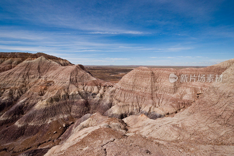 Blue Mesa的Badland Formation